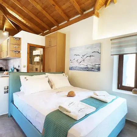 Myrsini'S Studios In Chorto Pelion Exterior photo