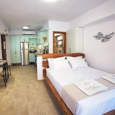 Myrsini'S Studios In Chorto Pelion Exterior photo