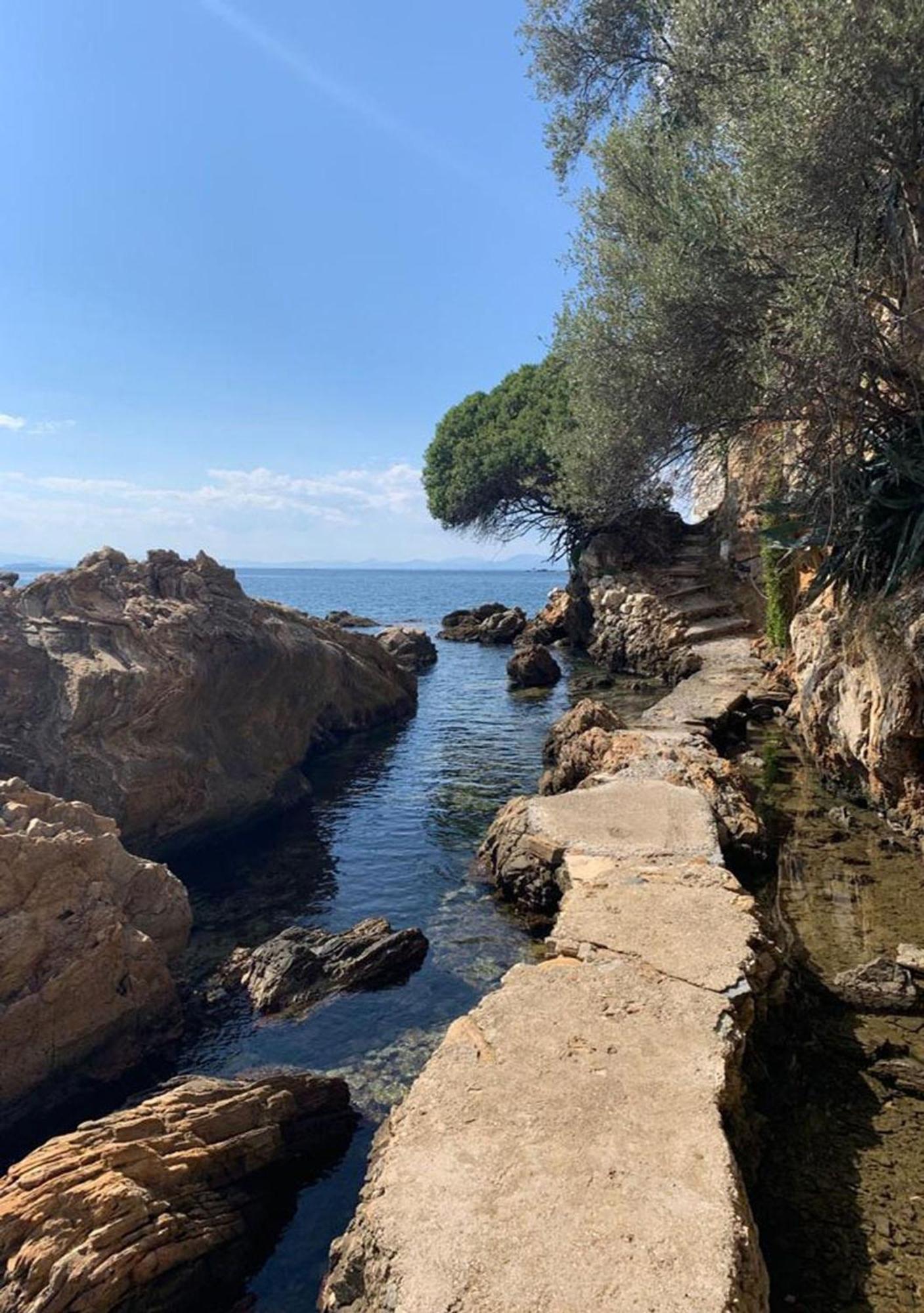 Myrsini's In Pelion Chorto