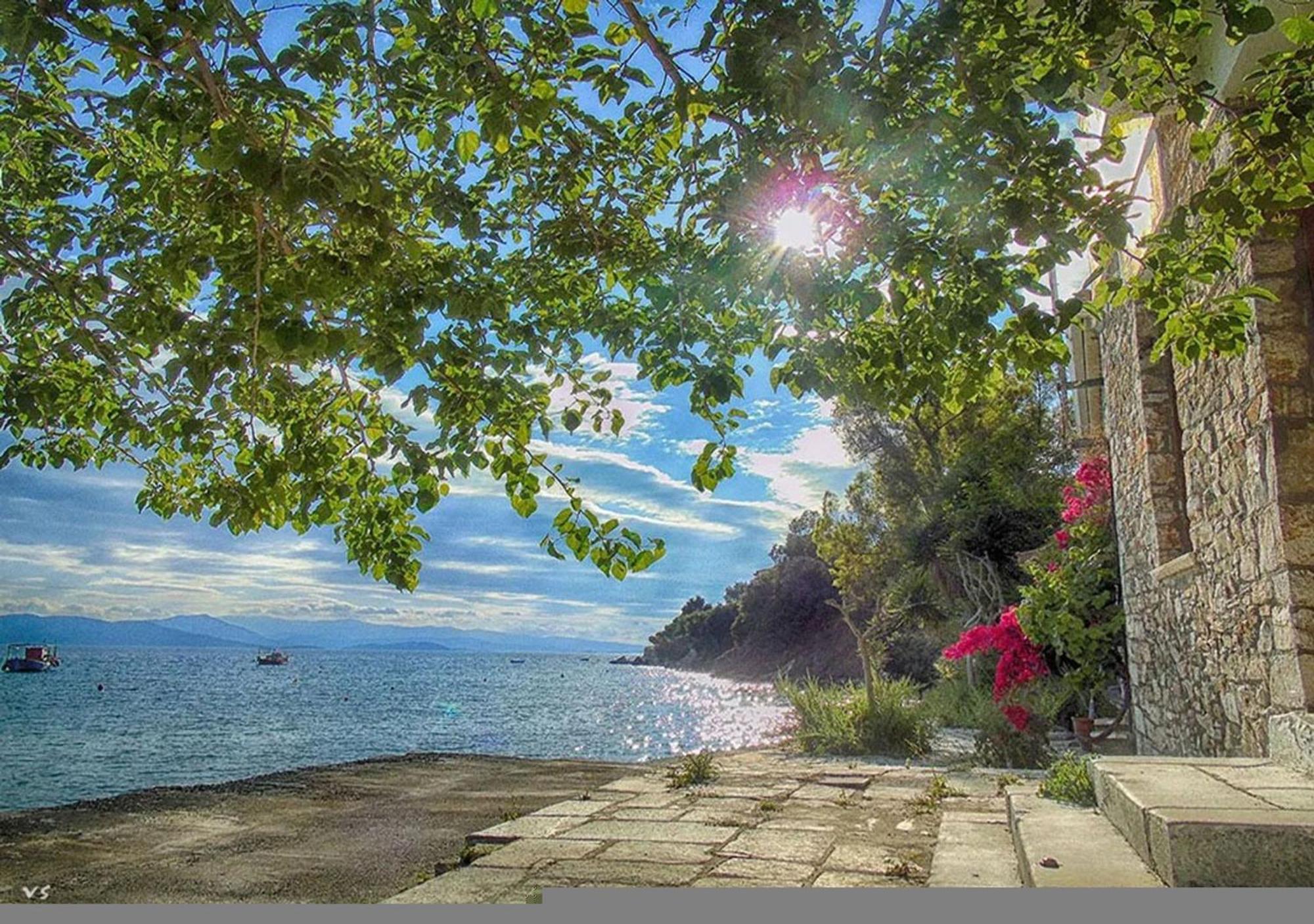 Myrsini's In Pelion